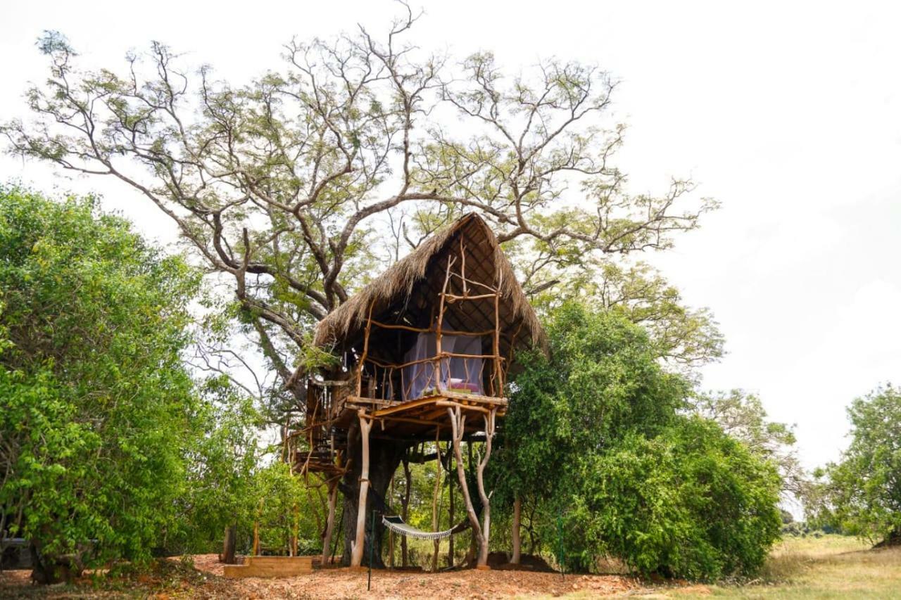 Villa The Ibis - Wilpattu Puttalam Exterior foto